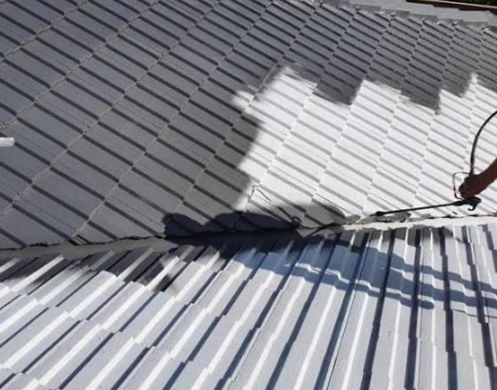 Moss & Roof Cleaning